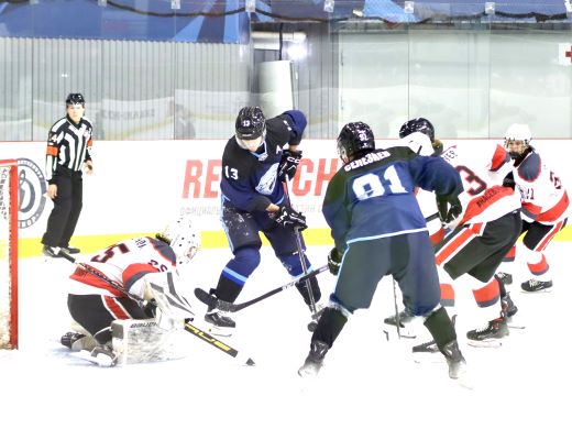 Стражи на страже